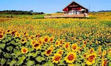 令人难忘的国庆假期