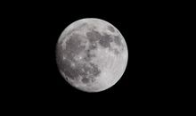 一轮圆月，几朵花