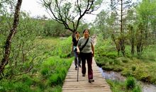 望山者高，登山者小