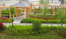 美丽的河堤公园