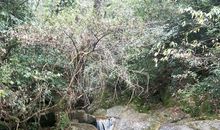 难忘的徒步活动