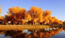 那不同寻常的美