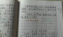 我长大以后想做什么作文