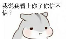 小仓鼠带给我的启示