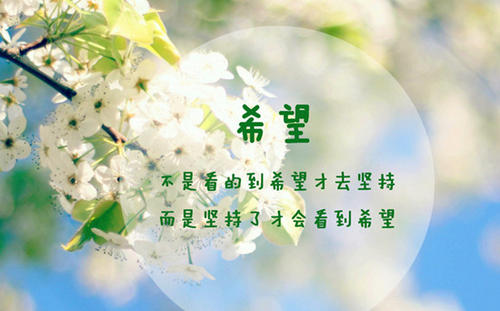 新的一天，新的开始