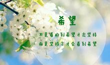 新的一天，新的开始