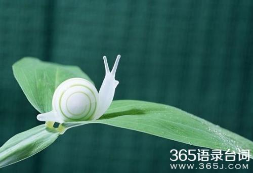 我的蜗牛