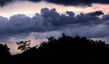 一道绚丽的阳光