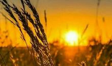 那段伤心的日子