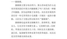 小小推销员作文400字