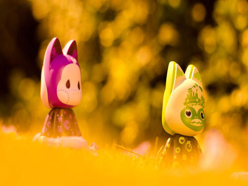 面对成功的喜悦，我哭了