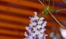 那一抹笑，留在我的记忆深处