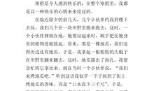 寒假见闻作文600字