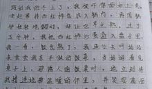 一张照片的故事作文500字
