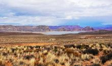 沙漠中的“光”