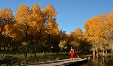 站在秋天的路口等你