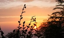 难忘的莫干山之行