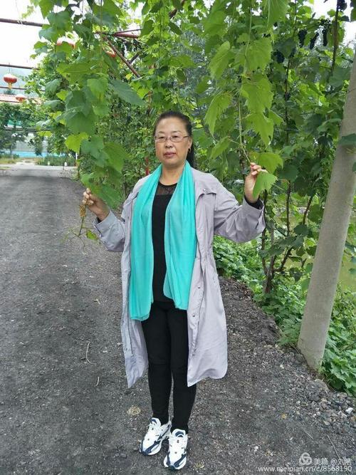 20年之后……