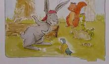 蒂比试一试读后感