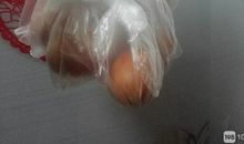 “牺牲”的鸡蛋
