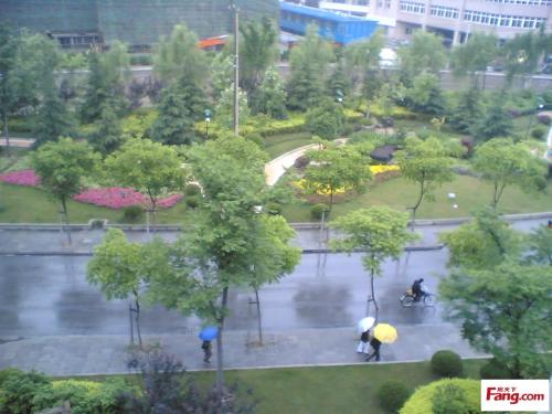 下雨天的不同风景