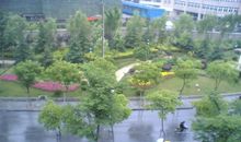 雨天里别样的风景