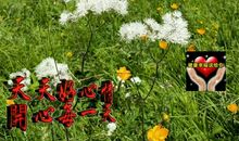 一个快乐的上午