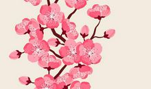 遇见那一抹光亮