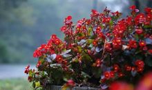 长留在心中的歌