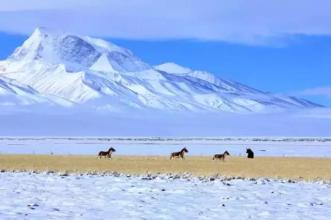 一次难忘的旅程