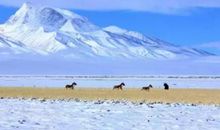 难忘的一场旅行