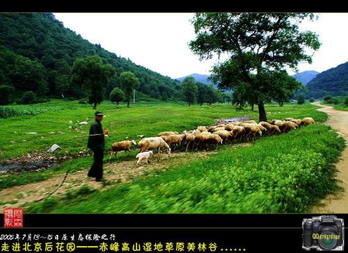 美林谷之旅愉快
