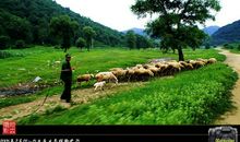 快乐的美林谷之旅