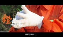 妈妈谢谢您的陪伴