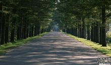 亲近自己的双腿读后感