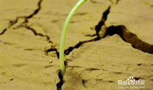 一次坚强的尝试