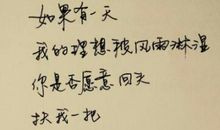 实现梦想不容易