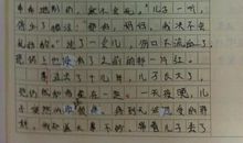 我们班的什么作文