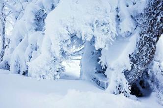 心里有雪