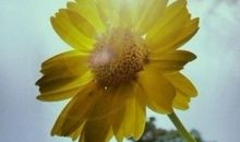 生命里不能没有勇气