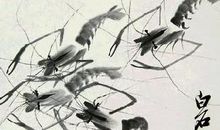 齐白石的虾画