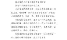 我是小白兔作文