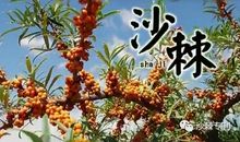 倾听植物生长的声音