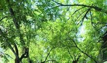 历史的叹息——古城西安靓影