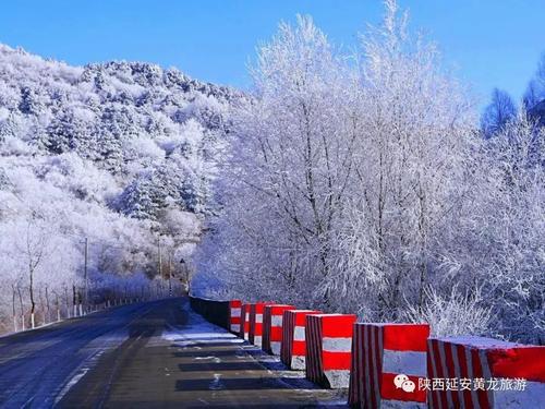 我喜欢这个冬天的雪