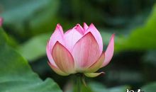 倾听，是最美的生命姿态