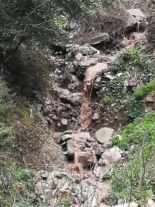 小河的叫声