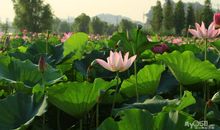 因为有爱所以快乐