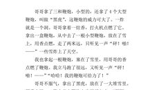 春节见闻作文300字