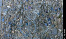 大公鸡吃石子的秘密